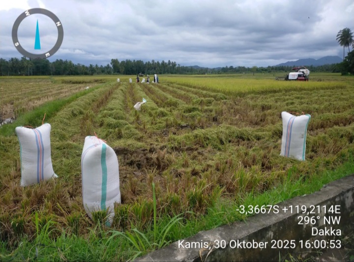 Screenshot_20251031-192152_WhatsApp